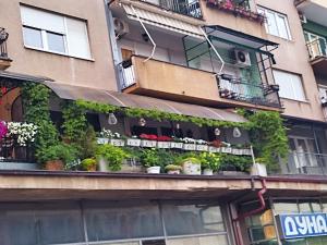 Magic apartment