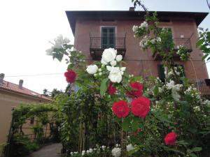 Una FINESTRA sul LAGO