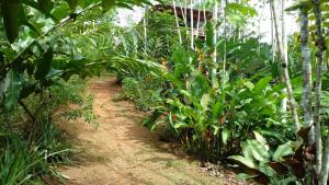 GreenPoint Drake Bay