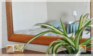 Hotel Patagonia Norte