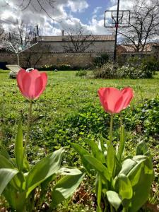 Maisons d'hotes Au Clos des Figues : photos des chambres