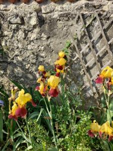 Maisons d'hotes Au Clos des Figues : photos des chambres