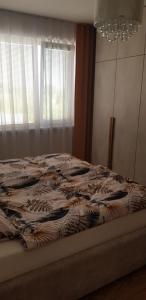 Vilka na Zemplínskej Šírave