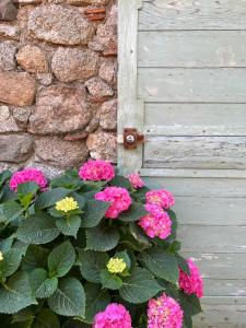 Villas La Bastide : photos des chambres