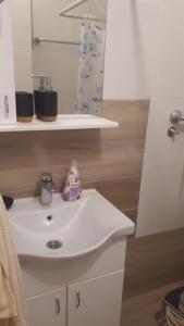 Apartman Dunja Banja Vrdnik