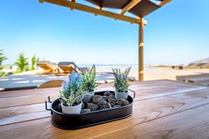 Saint Apostles Villas
