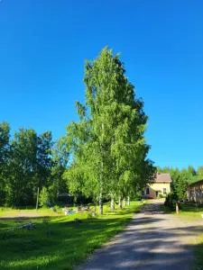 Old village school - 库奥皮奥