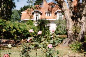 Hotels Chateau du Clair de Lune - Boutique Luxury Hotel : photos des chambres