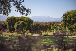 Hotels Chateau du Clair de Lune - Boutique Luxury Hotel : photos des chambres