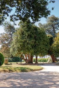 Hotels Chateau du Clair de Lune - Les Collectionneurs : photos des chambres