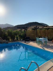 Cort'e Nastasj img11