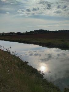 Maisons d'hotes charmante chambre sur le bassin d'Arcachon : photos des chambres