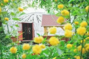 Jurta Debrecen - 豪伊杜伯瑟尔梅尼