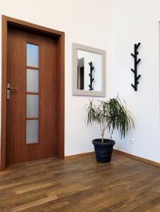 Przytulne apartamenty Nowy Świat Centrum Lok 1