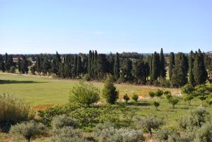 Suite con Terrazza