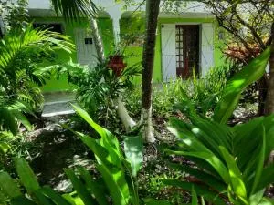 Le Jardin de Massieux - Hoguet