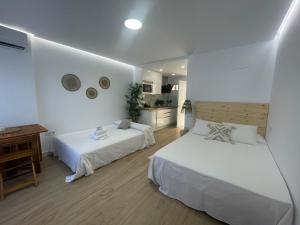 Estudio Aguila3