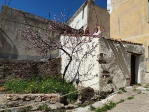 Sa Dommu 'e su coro img15