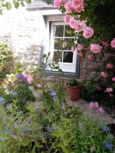 Maisons de vacances Cote Jardin, Spa privatif : photos des chambres