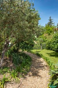 Appartements Le Clos des Eucalyptus : photos des chambres
