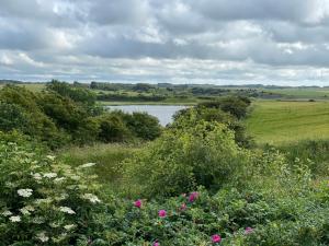 Ældre Sommerhus Max 4 voksne og 4 børn
