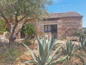 Maisons d'hotes le mas neuf 30129 manduel : photos des chambres