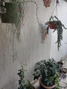 Guest House More
