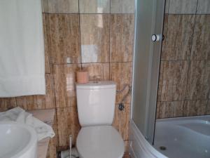 Pensiunea Dracula & Spa