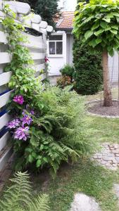 Feriendomizil Annette`s Scholle