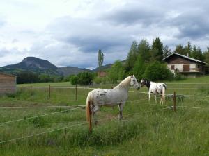 Chambre indépendante deux personnes au bord de la Blanche