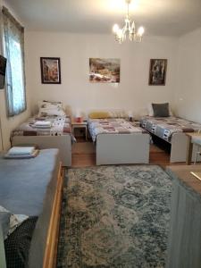 ECO-LUX APART with free bicycles end free parking 