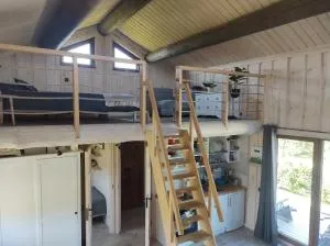 Bociani spokój - 文戈热沃