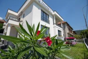 Pensiunea Ionelia - Coramnic