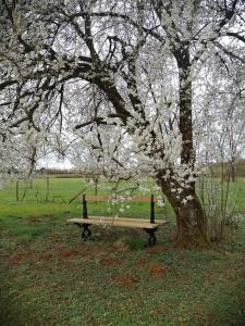 Domaine Moulin de Quincenat
