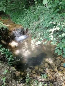 Domaine Moulin de Quincenat - Coligny