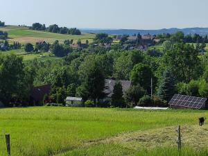 Agroturystyka Zielona dolinka