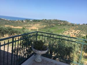 Vista Vasto
