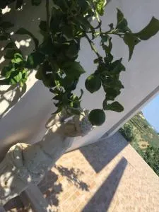 Vista Vasto - Cupello