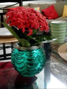 The Artist Place at Oxford New Kingston