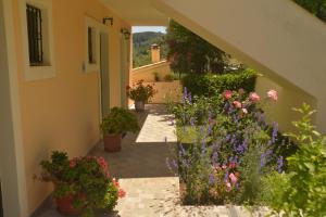 Georgia Apartments & Studios Corfu Corfu Greece