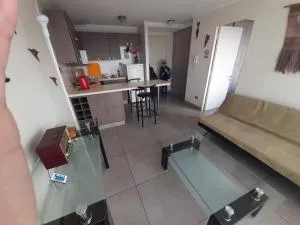 斯塔内拉公园公寓 - 安托法加斯塔