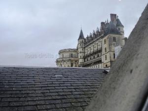 Appartements Appartement de charme au pied du Chateau d'Amboise, centre-ville, 2 chambres, mezzanine, WiFi - FR-1-381-250 : photos des chambres