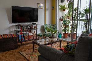 Beautiful and Colorful Apartment in Palermo