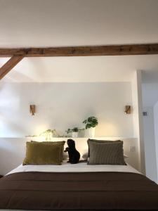 Appartements Castor Coquin Aubagne Cassis Aix en Provence : photos des chambres
