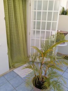 Roommate for rent in flic en flac