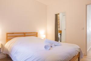 Appartement Hypercentre RDC - NEW LOCATION