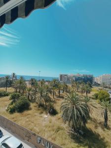 Apartment in Torrevieja by the Beach