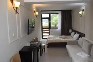 克拉西克旅馆 - 布什泰尼