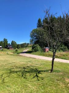 Mysig timmerstuga med braskamin nära Hovfjället