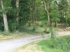 Chalets Chanterelle : photos des chambres